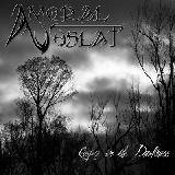 Amoral Vulsat : Corpse in the Darkness